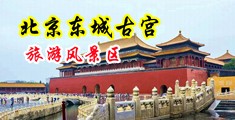 免看操逼大片中国北京-东城古宫旅游风景区